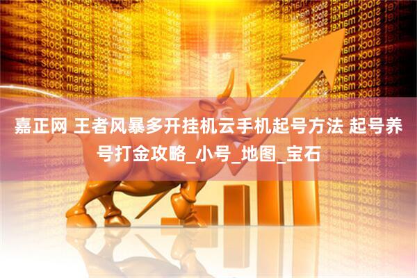 嘉正网 王者风暴多开挂机云手机起号方法 起号养号打金攻略_小号_地图_宝石