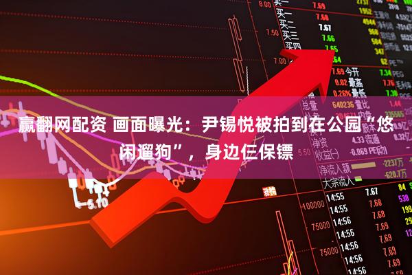 赢翻网配资 画面曝光：尹锡悦被拍到在公园“悠闲遛狗”，身边仨保镖