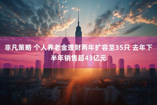非凡策略 个人养老金理财两年扩容至35只 去年下半年销售超43亿元