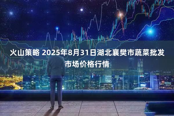 火山策略 2025年8月31日湖北襄樊市蔬菜批发市场价格行情