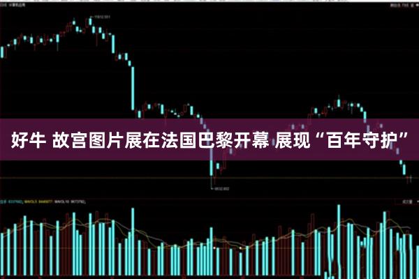 好牛 故宫图片展在法国巴黎开幕 展现“百年守护”