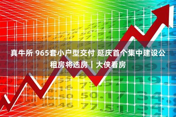 真牛所 965套小户型交付 延庆首个集中建设公租房将选房｜大侠看房