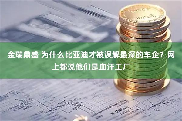 金瑞鼎盛 为什么比亚迪才被误解最深的车企?网上都说他们是血汗工厂